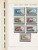 Kavel 2059 (449)