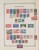Lot 2081 (264)