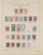 Lot 1363 (9)