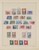 Lot 1363 (34)