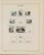 Kavel 1383 (195)