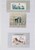 Lot 2216 (49)