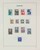 Kavel 3621 (17)
