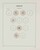 Kavel 3621 (66)