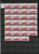 Kavel 3550 (23)