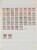 Lot 3558 (5)
