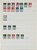 Lot 3558 (17)