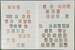 Lot 3558 (34)