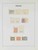 Lot 3554 (7)