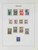Lot 3554 (17)