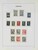 Lot 3554 (23)
