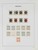 Lot 3554 (41)