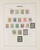 Lot 3555 (3)