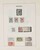Lot 3555 (5)