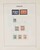Lot 3555 (10)