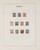 Lot 3555 (13)