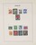 Lot 3555 (14)