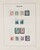 Lot 3555 (16)