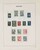 Lot 3555 (23)
