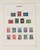 Lot 3555 (28)