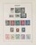 Lot 3555 (37)