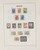 Lot 3555 (41)