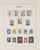 Lot 3555 (46)
