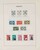 Lot 3555 (61)