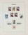 Lot 3555 (75)