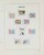 Lot 3555 (92)