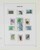 Lot 3555 (100)