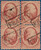 Lot 5036 (3)