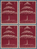 Kavel 5373