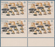 Kavel 5516