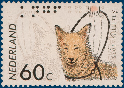 Lot 5535