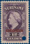 Lot 4366 (2)