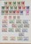 Lot 1122 (21)