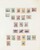 Lot 1162 (3)