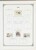 Kavel 1043 (92)