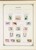 Kavel 1043 (221)