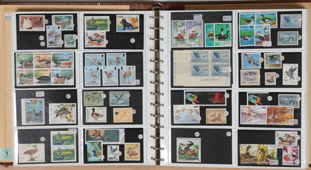 Lot 1051