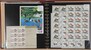 Lot 1051 (100)