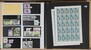 Lot 1051 (146)