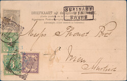 Lot 3210