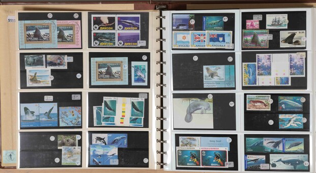 Kavel 1066