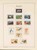 Kavel 2260 (55)