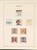 Kavel 2260 (101)