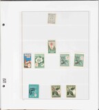 Lot 3703