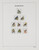 Kavel 1101 (28)