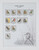 Kavel 1101 (130)